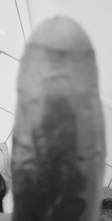 Anal GIF by thatcollegeguy23