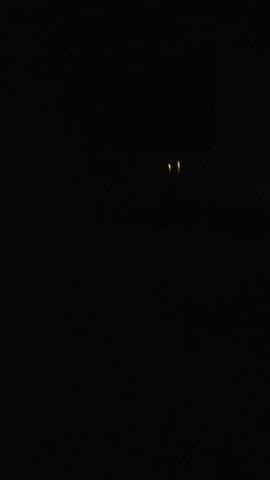 big dick masturbating male masturbation gif