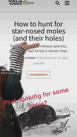 Heard you were looking for some holes