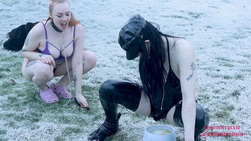femdom petplay piss pissing puppy watersports gif