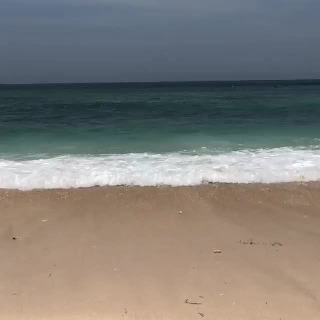 42189596_370506566823101_2740422017849203172_n