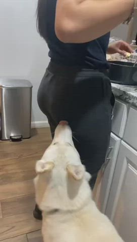 Ass Big Ass Clothed Funny Porn r/NSFWFunny gif