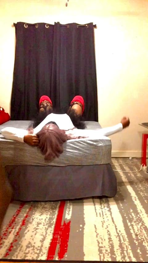 Dogging the Kitty! (VidDiary) Pt. 1