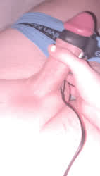 Cock Milking