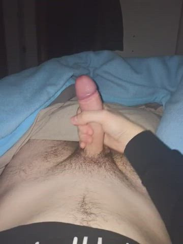 young cocks require a lot øf attention