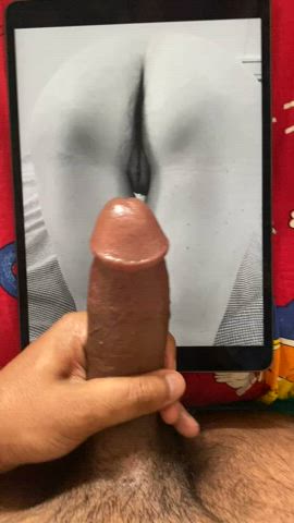 indian cock tribute r/tributeme gif