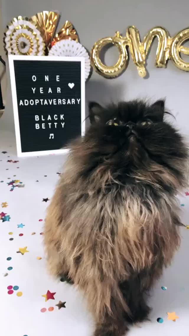 Black Betty
