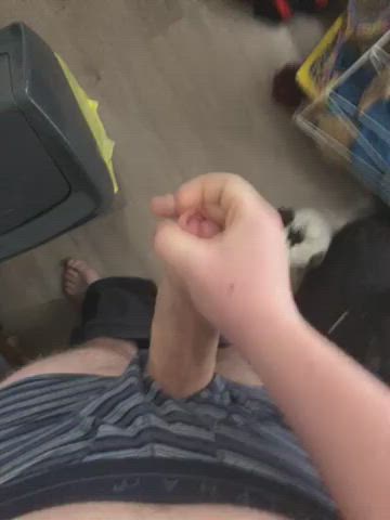 cock cum cumshot ejaculation erection solo gif