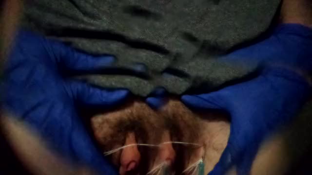 Revealing my web of piercings