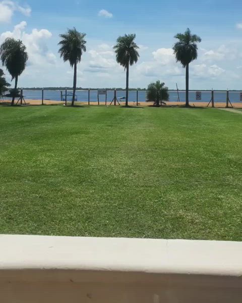 argentinian ass blonde gif