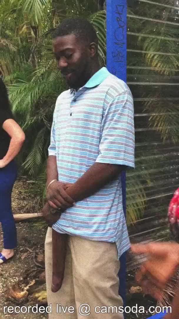 1080P 4000K 219898421