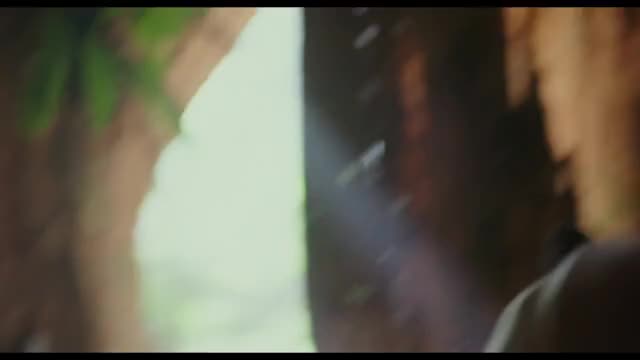 Ellen Page - Into The Forest (2015)