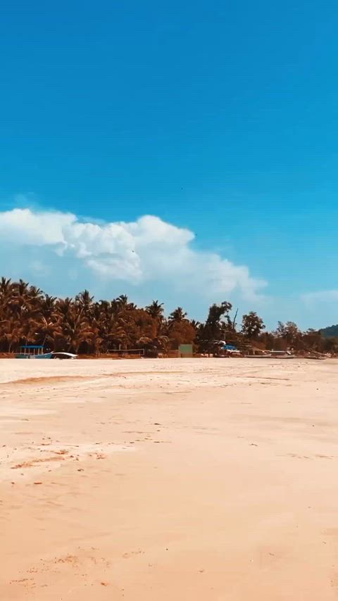 beach bikini hindi indian fit-girls indian-babes tik-tok women-of-color gif