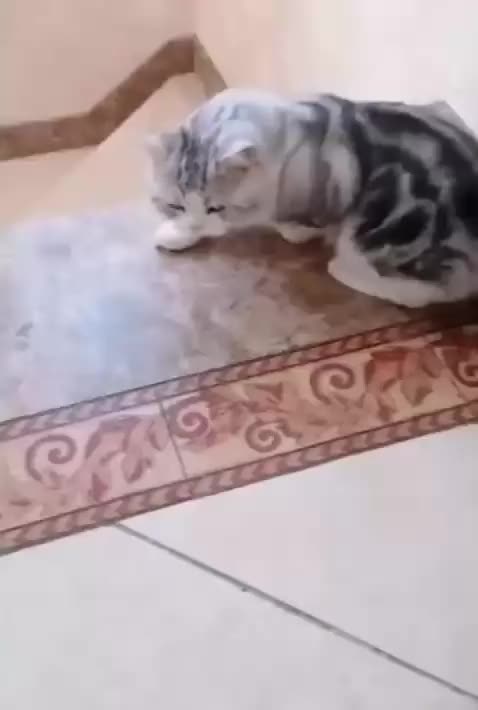 trying to be sexy in front of your crush