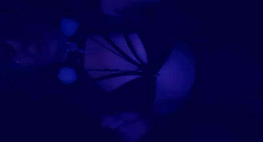 boobs booty festival gif