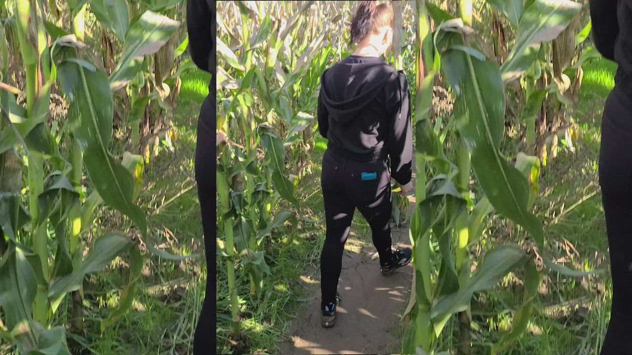 Dared her to flash in a corn maze [f]