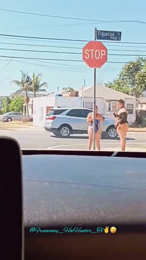 bbbw bbw escort happy ending prostitute sbbw ssbbw gif