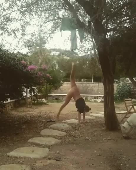 Tie-Your-Dog-While-Doing-YogaFking-DogHahaha