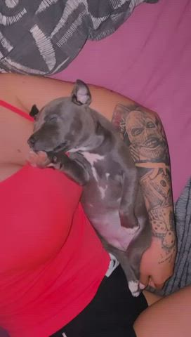 boobs onlyfans sex gif