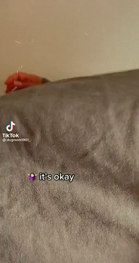 amateur babe barely legal boobs cute girls pretty teasing teen tiktok gif