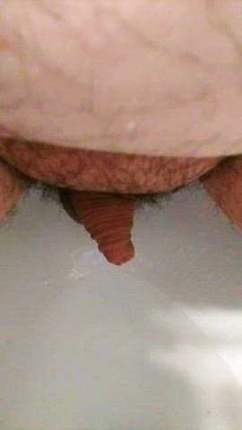 chubby fetish girl dick hairy pee peeing piss pissing toilet trans gif