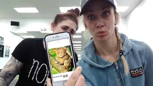 Megan Anderson and Laura Sanko - Someone Said That Laura Looked Like a Tarsier