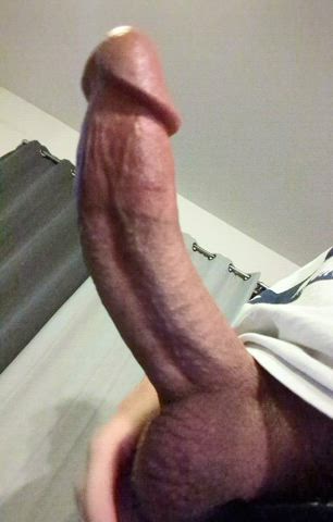 big dick jerk off male masturbation thick cock gif
