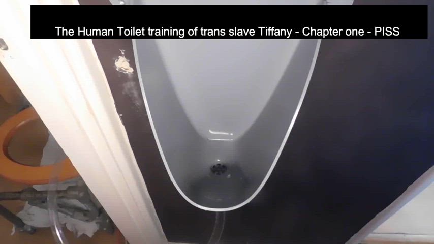 piss submissive toilet trans watersports gif