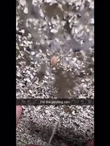 If you look at my pussy long enough I’ll start pissing💦😝💕 I love to piss