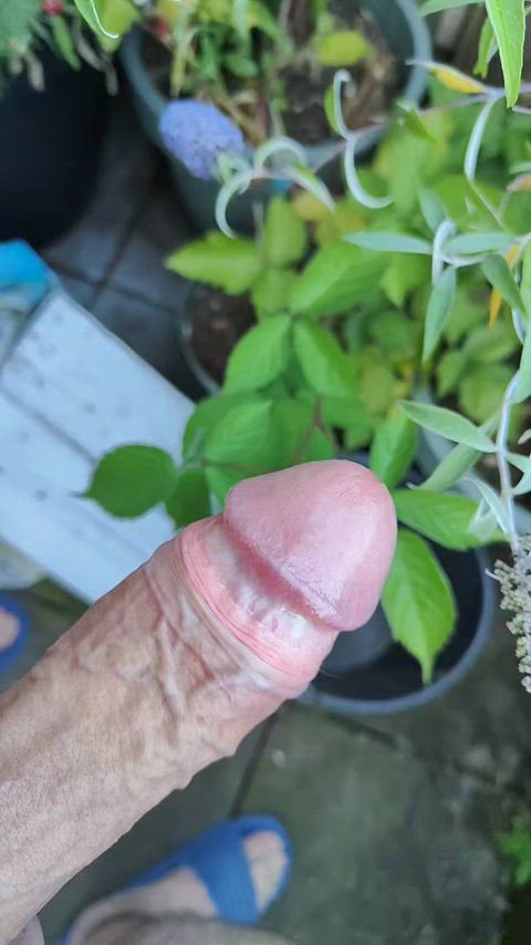 Ants bite! 2