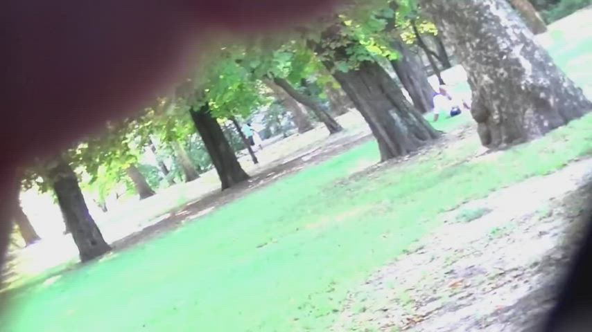 exhibitionist panties public gif