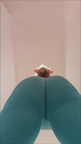 blonde hotwife leggings yoga pants gif