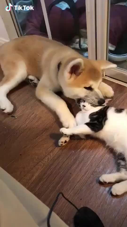 Head massage