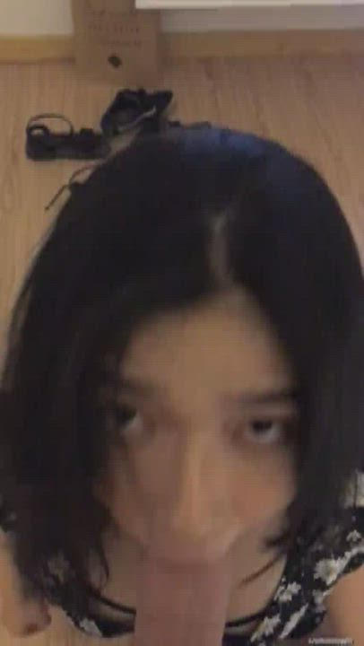 Asian BWC Blowjob DontSlutShame Pretty Teen WMAF gif