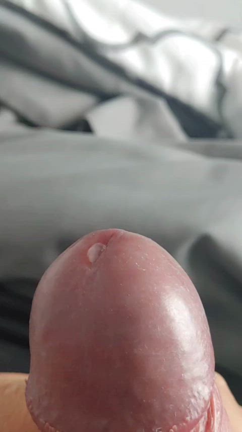 cock dripping precum gif