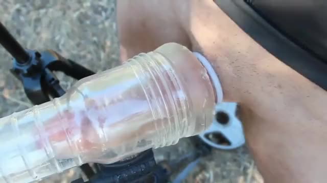 early morning outdoor cock milking