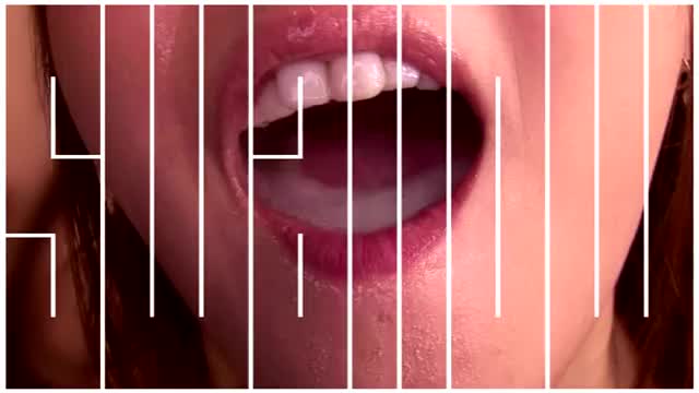 Swallow