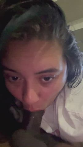 BBC BBW Big Dick Latina Sucking gif