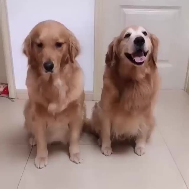 I will be there with you forever