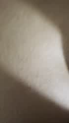 Anal Bareback Hotel gif