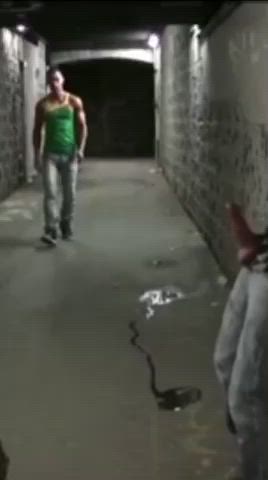 Getting Caught Isn't Too Bad When You Get A Secret Underground Alleyway Blowjob Out