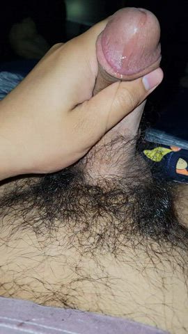 cock hairy cock jerk off gif