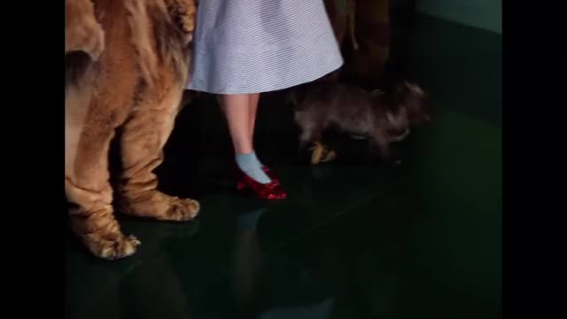 Wizard Revealed - Wizard of Oz 75th Anniversary - Own it October 1