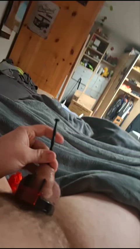 amateur chastity cum homemade piss sounding urethral-sounding gif