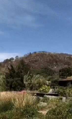 GIF321