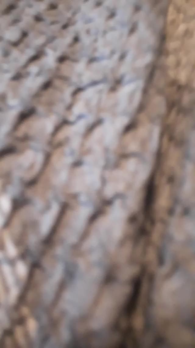20201015 132739