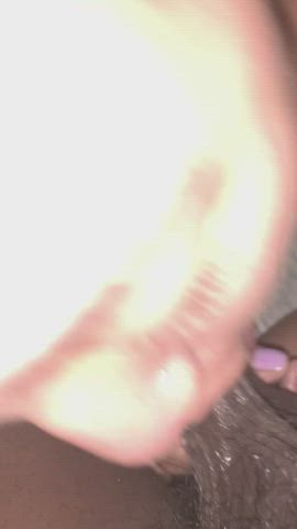 balls balls sucking worship gif