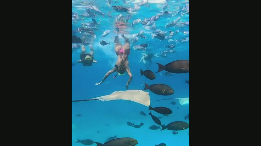 Ass Ebony Underwater gif
