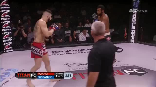 Titan FC 39 KO