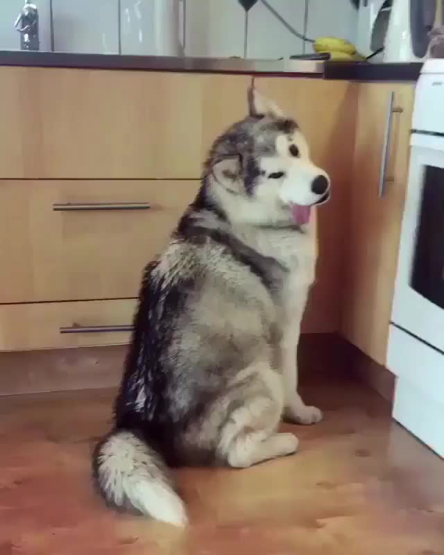 She is a bit hungry